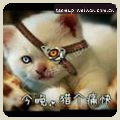 张宇